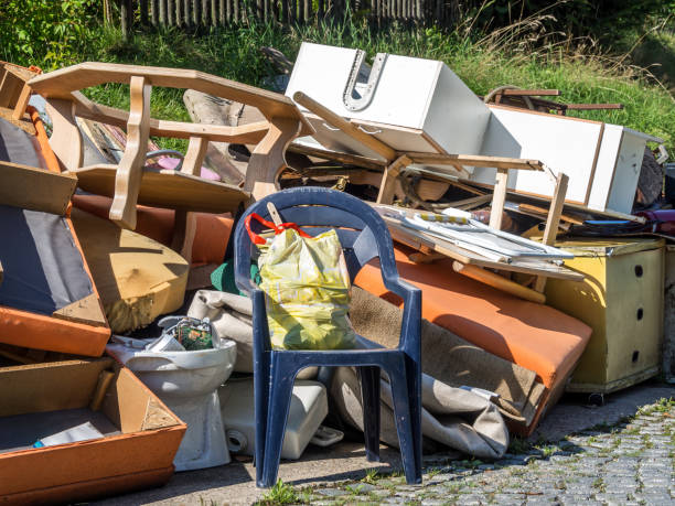 Best Electronics Removal Services  in Buhl, MN